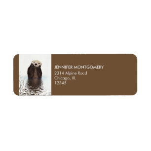 Cute Otter Wildlife Image