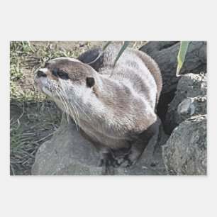 CUTE OTTER   WRAPPING PAPER SHEET