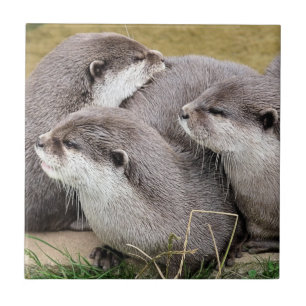 CUTE OTTERS TILE