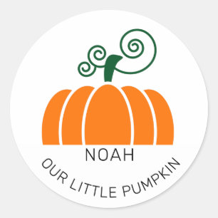Cute Our Little Pumpkin Birthday Party Classic Round Sticker