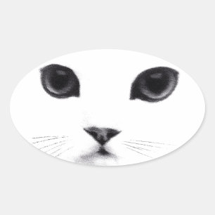Cute Oval Kitty Cat Face Oval Sticker