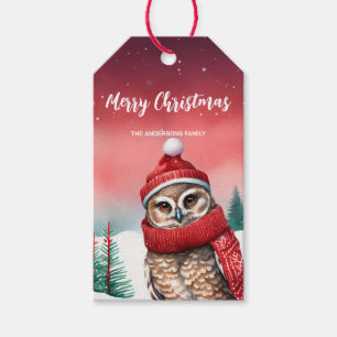 Cute Owl bird Santa Christmas party Snow kids Gift Tags