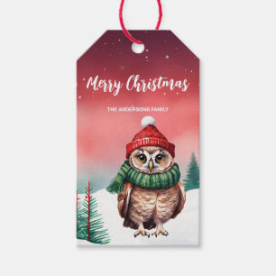  Cute Owl bird Santa Christmas party Snow kids Gift Tags