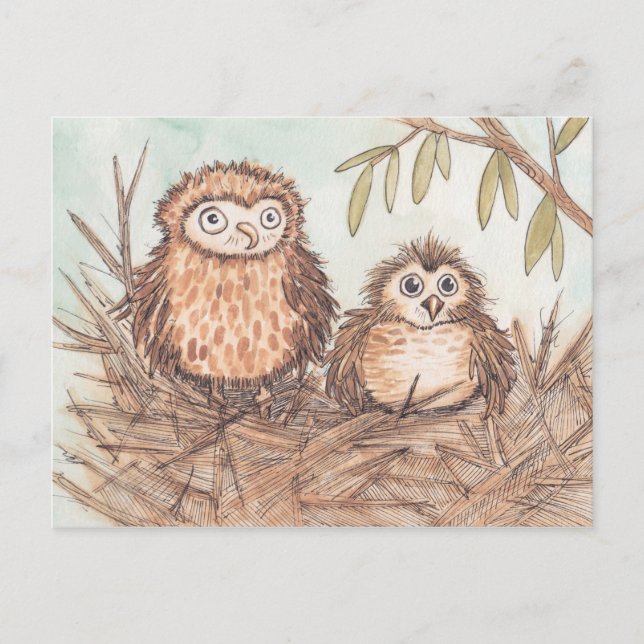 Cute Owl Brothers Postcard (Front)