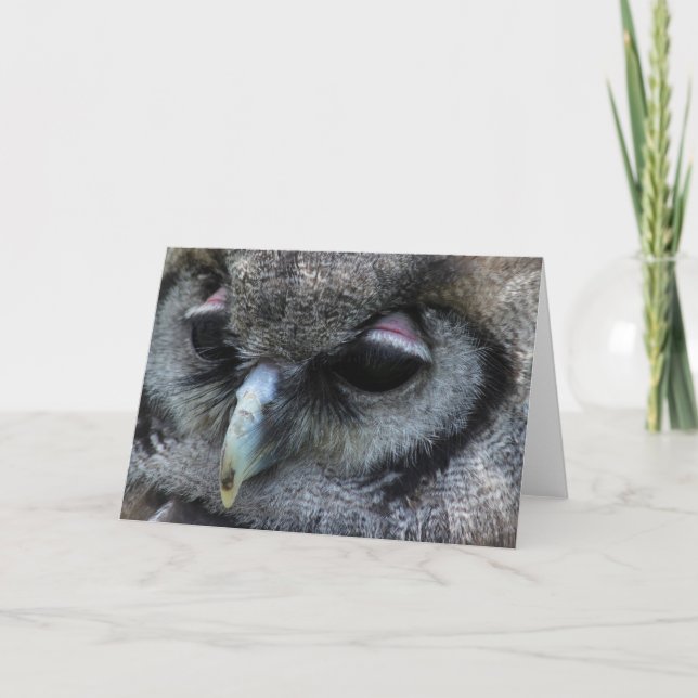 Cute Owl Card (Front)