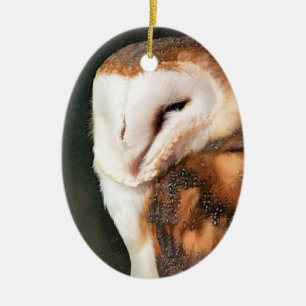 CUTE OWL CERAMIC TREE DECORATION