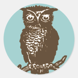 Cute Owl Classic Round Sticker