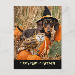Cute Owl Dachshund Happy Halloween Holiday Postcard