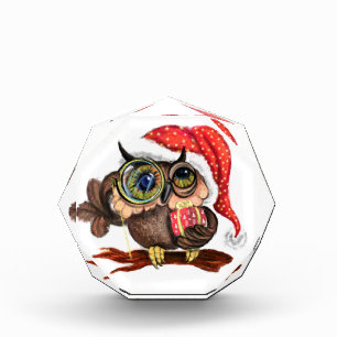 Cute Owl In Christmas Hat and Gift Photo Block