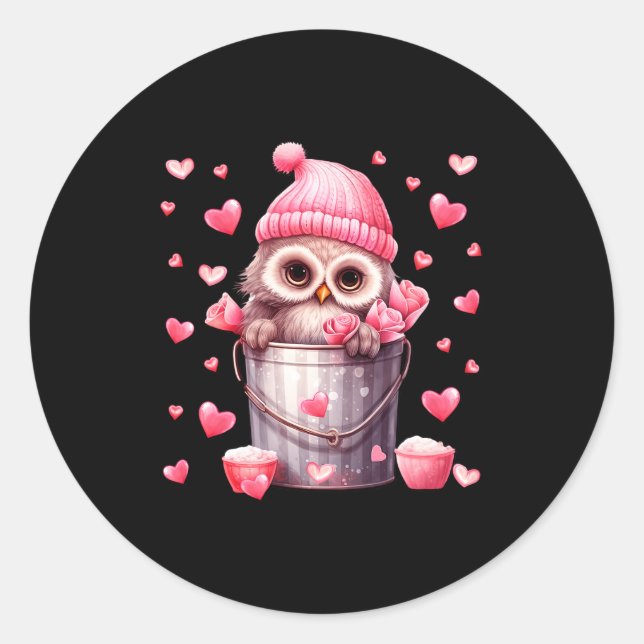 Cute Owl In Valentines Basket For Girls Women Nk R Classic Round Sticker (Front)