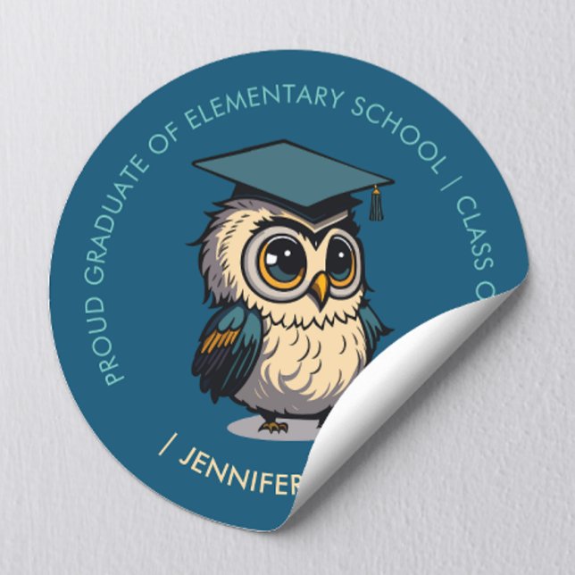 Cute Owl Kids Graduation | Back To School Classic Round Sticker (Creator Uploaded)