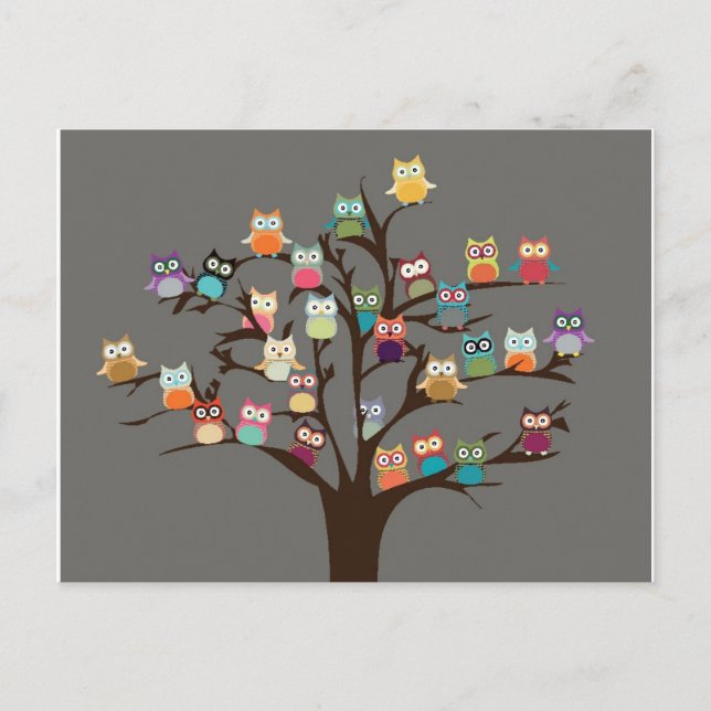 Cute Owl On Tree | Background Postcard (Front)