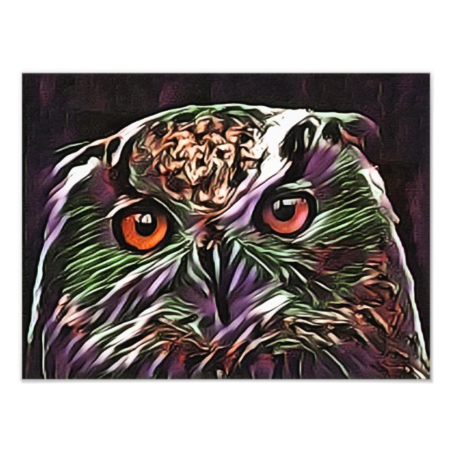 CUTE OWL   PHOTO PRINT (Front)