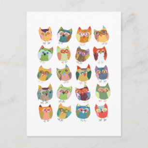 cute Owl post card, colourful owls, owl lovers. Postcard