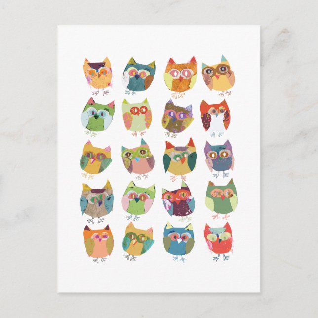 cute Owl post card, colourful owls, owl lovers. Postcard (Front)
