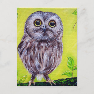 Cute Owl Postcard