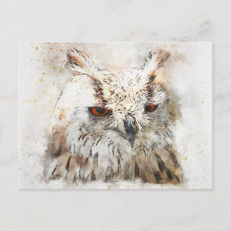 Cute owl postcard