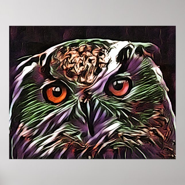 CUTE OWL  POSTER (Front)
