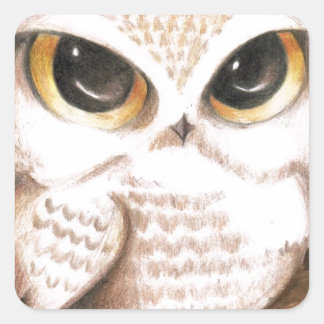 Cute Owl Square Sticker