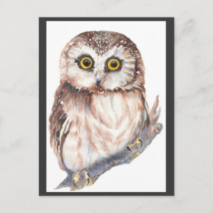 Cute Owl - Watercolor Bird Collection Postcard