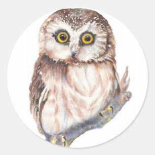 Cute Owl ,Watercolor Bird Nature, Classic Round Sticker