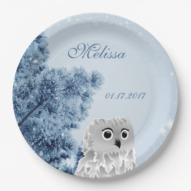 Cute Owl Winter Kids Custom Birthday Party Paper Plate (Front)