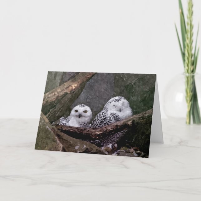 Cute Owls Card (Front)