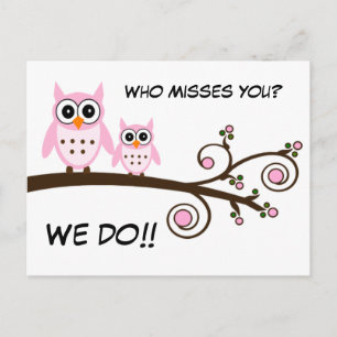 Cute Owls Postcard