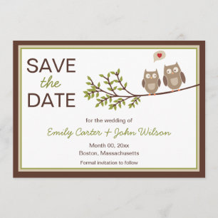 Cute Owls Save the Date Announcement