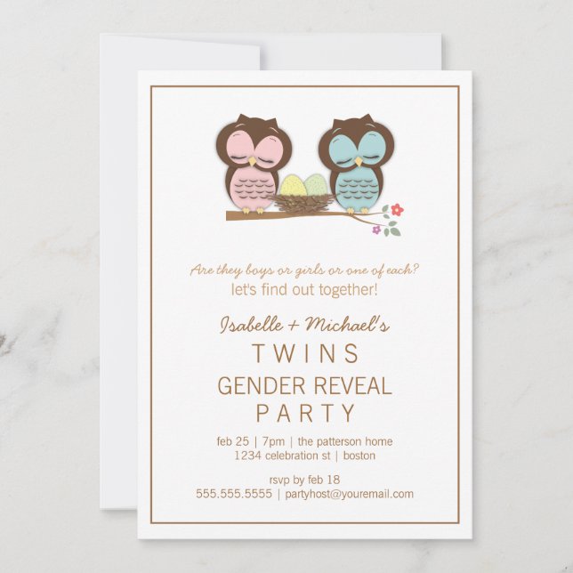 Cute Owls Twin Baby Gender Reveal Party Invitation (Front)
