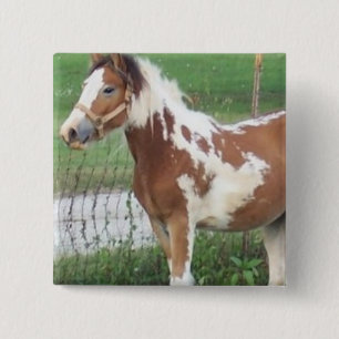 Cute Paint Pony Pin