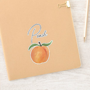 Cute Painted Peach Fruit Illustration