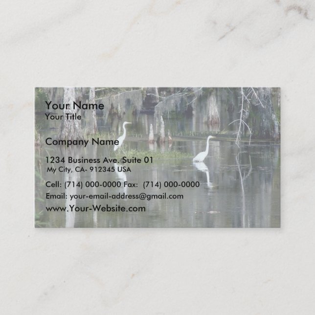 Cute Pair Of Louisiana Herons In Water Near Morgan Business Card (Front)