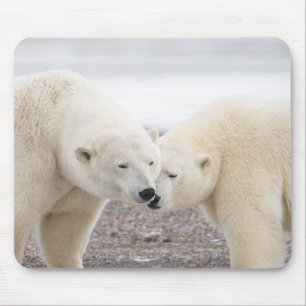 Cute Pair of Loving Polar Bears Mouse Mat