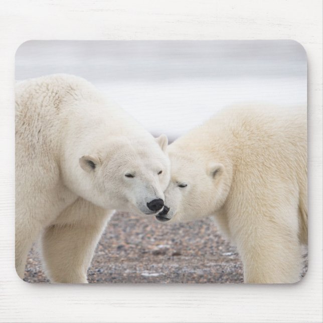Cute Pair of Loving Polar Bears Mouse Mat (Front)