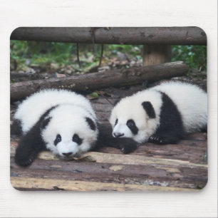 Cute Panda Babies Mouse Pad