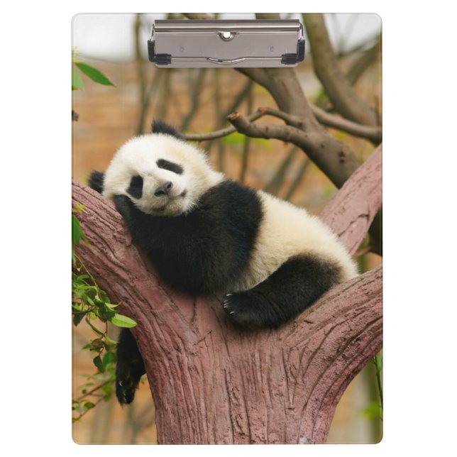 Cute Panda Bear Clipboard (Front)