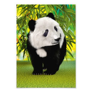 Cute Panda Bear Cub Kawaii Animal Lover Gift Photo Print