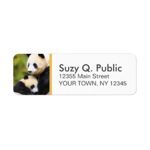 Cute Panda Bear Custom Address Labels