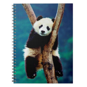 Cute Panda Bear Notebook