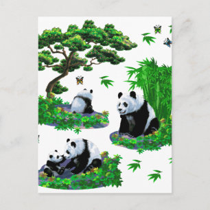 cute panda Cartoon Postcard