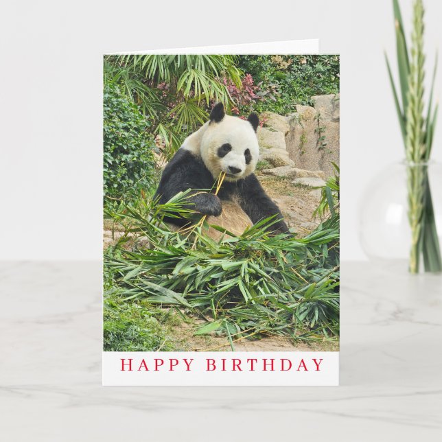 Cute panda eating birthday card (Front)