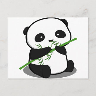 Cute Panda Postcard