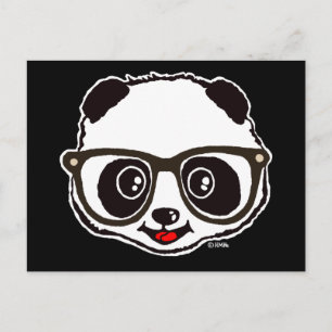 Cute Panda Postcard