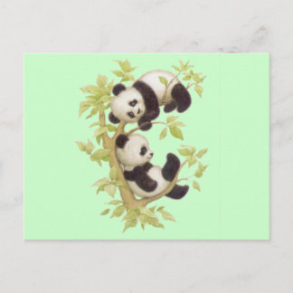 Cute Pandas Postcard
