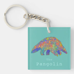 Cute Pangolin colourful illustration  Key Ring