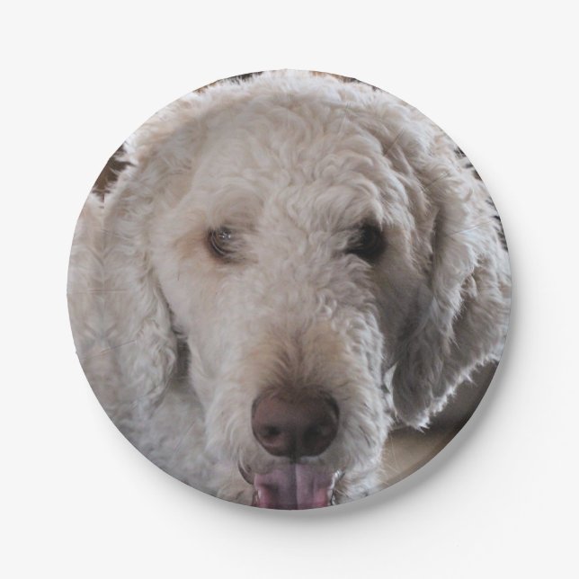 Cute    paper plate (Front)