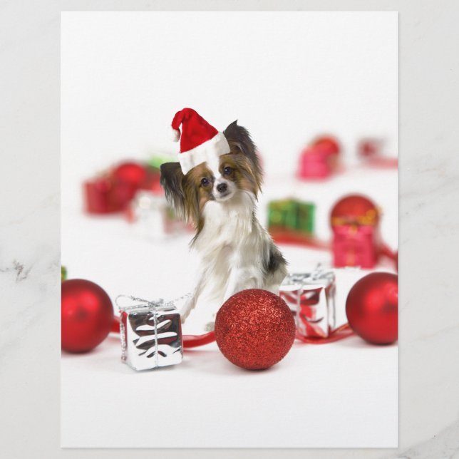 Cute Papillon Dog Christmas Santa Hat (Front)