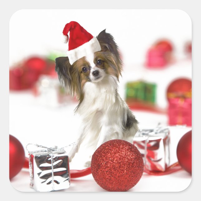 Cute Papillon Dog Christmas Santa Hat Square Sticker (Front)