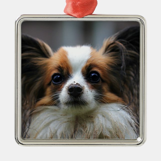 Cute papillon dog metal tree decoration (Front)